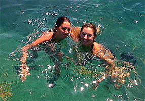 family swim key biscayne
                        florida